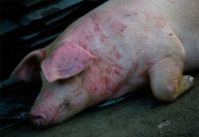 150 người chết vì mưa rơi, người dân Trung Quốc khóc nấc vì tán gia bại sản - Ảnh 20.