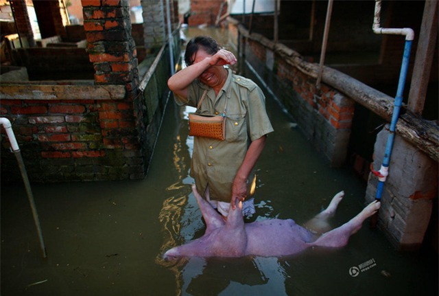 150 người chết vì mưa rơi, người dân Trung Quốc khóc nấc vì tán gia bại sản - Ảnh 22.