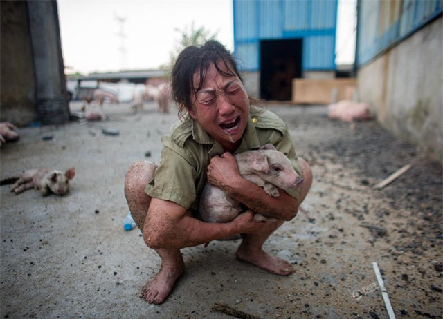 150 người chết vì mưa rơi, người dân Trung Quốc khóc nấc vì tán gia bại sản - Ảnh 23.