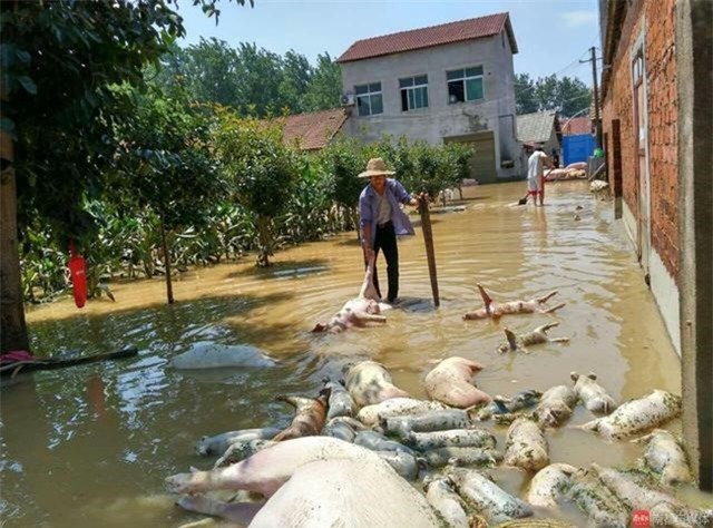 150 người chết vì mưa rơi, người dân Trung Quốc khóc nấc vì tán gia bại sản - Ảnh 26.