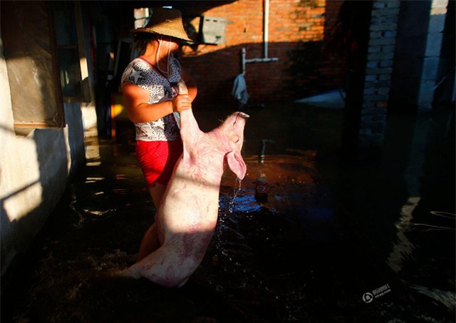 150 người chết vì mưa rơi, người dân Trung Quốc khóc nấc vì tán gia bại sản - Ảnh 27.