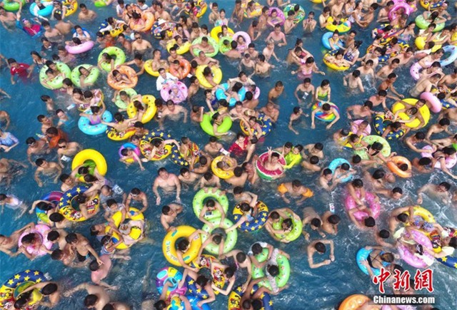 Nắng nóng kinh hoàng, trứng gà nở giữa đường cái 50 độ C - Ảnh 10.