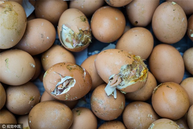 Nắng nóng kinh hoàng, trứng gà nở giữa đường cái 50 độ C - Ảnh 3.