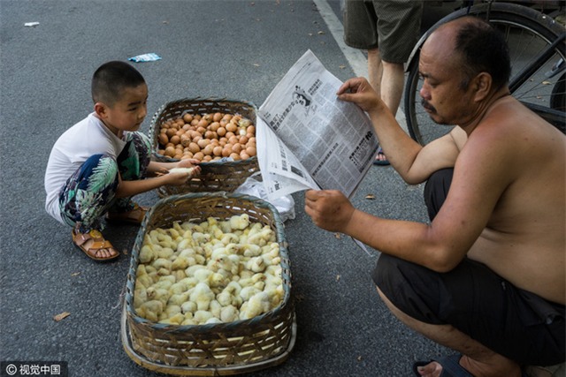 Nắng nóng kinh hoàng, trứng gà nở giữa đường cái 50 độ C - Ảnh 5.