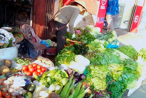 thực phẩm an toàn, rau nhiễm độc, thịt có chất tạo nạc, thuỷ sản nhiễm chất cấm, thịt lợn thối, nội tạng, mỡ bẩn