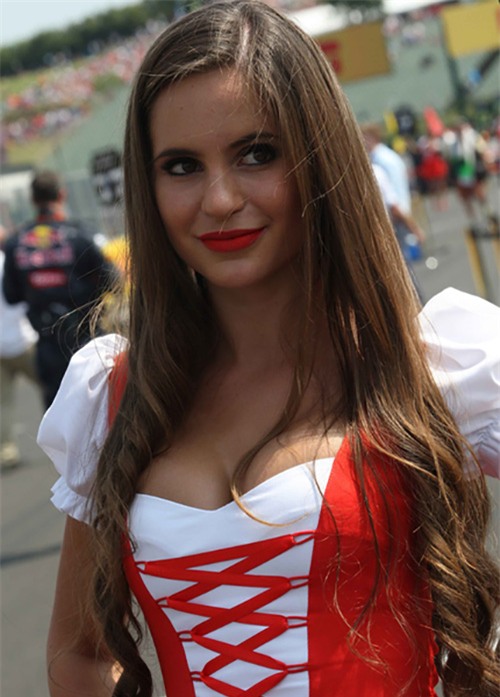 Hungary, F1, Lewis Hamilton, Nico Rosberg, Mercedes