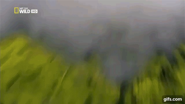 Bí ẩn không tưởng tại nơi chết chóc nhất trên Trái Đất - Ảnh 1.