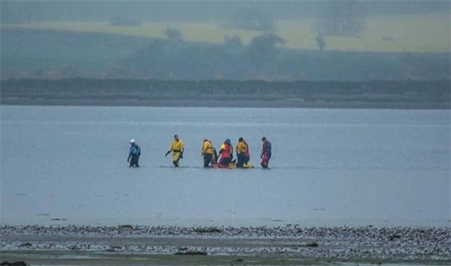 Hình ảnh chú cá heo bị cháy nắng đến mức lột da khiến nhiều người không khỏi xót xa - Ảnh 5.