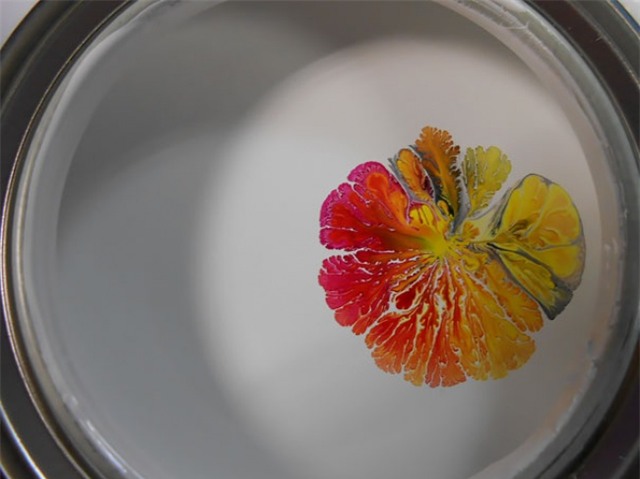 Kết quả khó tin khi các vụ tai nạn trở thành những tuyệt tác! - Ảnh 6.