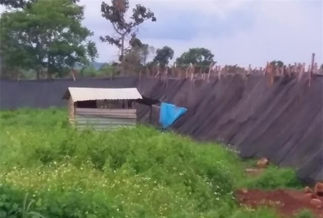 Gia Lai, đơn tố cáo, chủ tịch UBND xã Albá Siu Kam, quan hệ bất chính