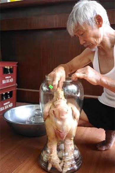 gà đông tảo ngâm rượu, gà đông tảo, gà tiến vua, đặc sản gà đông tảo, gà đông tảo khoái châu