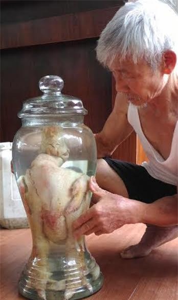 gà đông tảo ngâm rượu, gà đông tảo, gà tiến vua, đặc sản gà đông tảo, gà đông tảo khoái châu