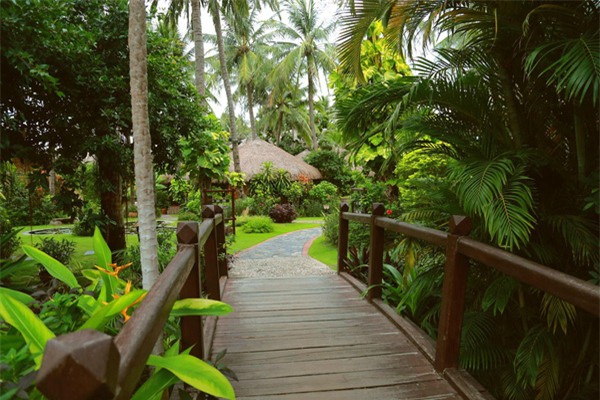 bamboo village