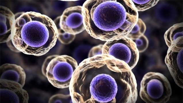 Tìm ra tổ tiên của tất cả mọi sinh vật trên Trái đất - Ảnh 1.