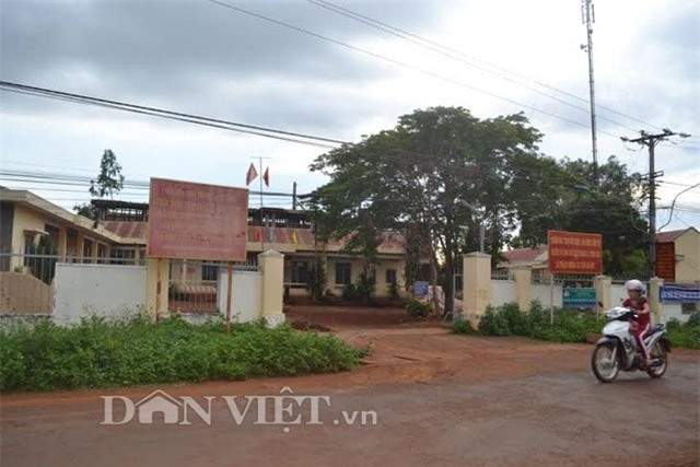 chu tich xa bi to bat tai tran 