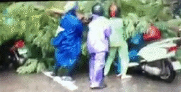 Hà Nội: Bất chấp nguy hiểm, gió to, người dân lao vào cứu 2 phụ nữ bị cây đè do bão