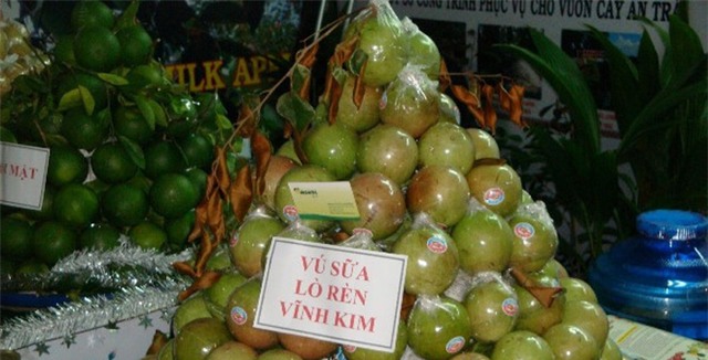 thanh long, chôm chôm, vải, nhập khẩu, vú sữa, Việt Nam, Mỹ, xuất khẩu, trái cây, nông sản