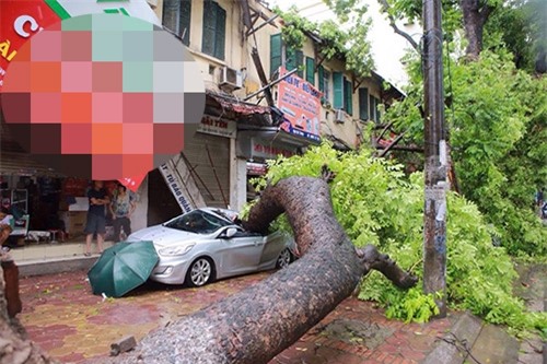 bao so 1 chua dut, kha nang xuat hien bao so 2 vao bien dong - 2