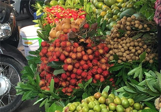 quả chôm chôm, chôm chôm đội giá gấp 8 lần, giá chôm chôm giảm mạnh, giá bán chôm chôm tại vườn, chôm chôm đồng nai