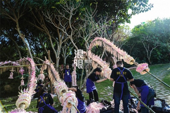 Lâm Tâm Như đám cưới 9