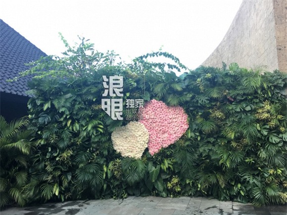 đám cưới Lâm Tâm Như 1 0