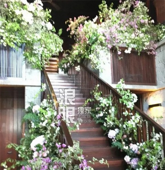 Lâm Tâm Như đám cưới 6