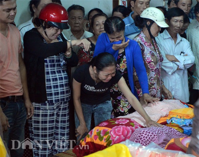 hoa hoan tai ca mau: tang thuong bao trum ca gia dinh hinh anh 1