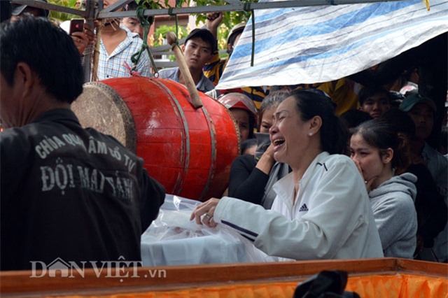 hoa hoan tai ca mau: tang thuong bao trum ca gia dinh hinh anh 2