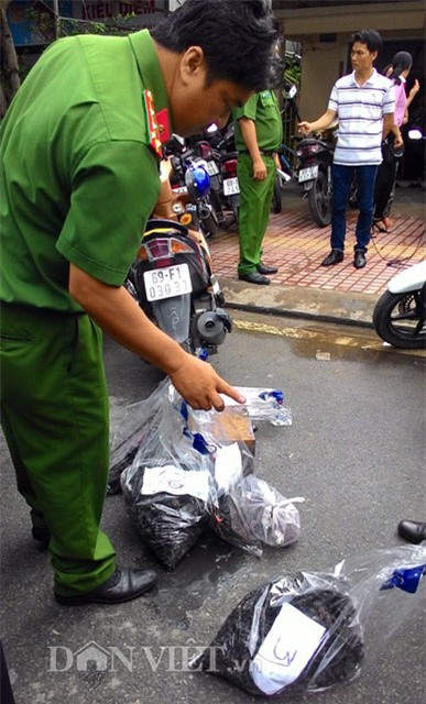 hoa hoan tai ca mau: tang thuong bao trum ca gia dinh hinh anh 6