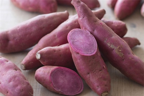 top thuc pham giup tang cuong suc de khang cho be cuc hieu qua - 6