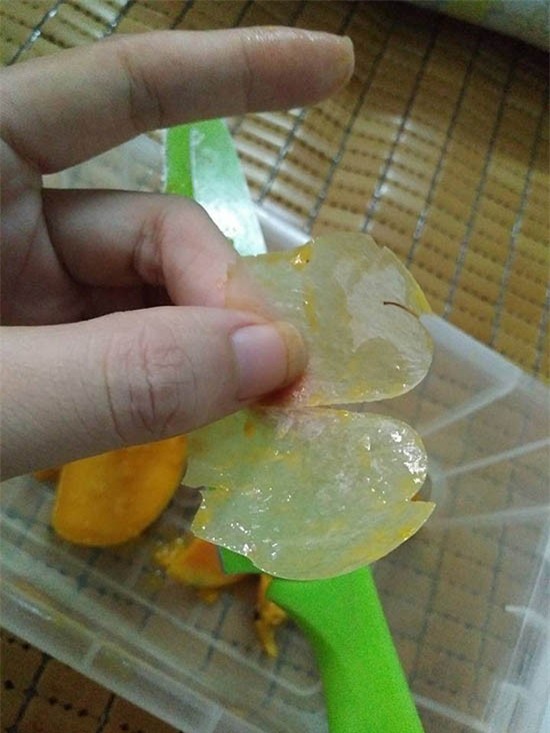 Thực hư, xoài làm bằng cao su, Trung Quốc, hàng Tàu, xoài giả, hóa chất, ung thư