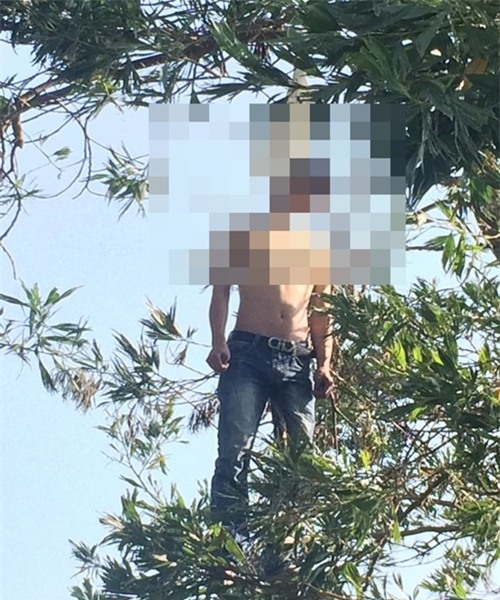 Bạn gái không ra gặp, nam thanh niên treo cổ trên cây tự tử