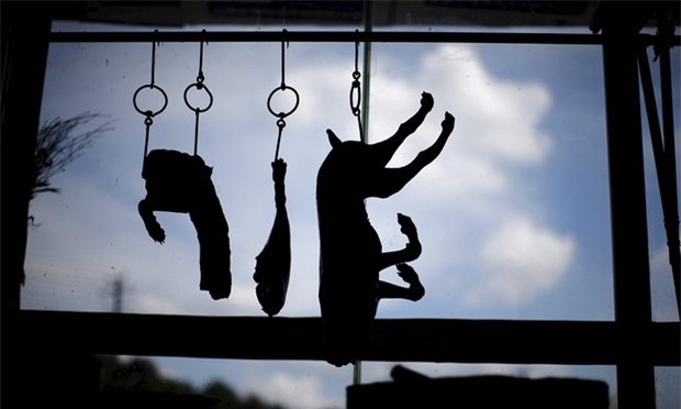 Cẩn thận khi dùng đồ da Trung Quốc, có thể chúng được làm từ da chó mèo - Ảnh 2.