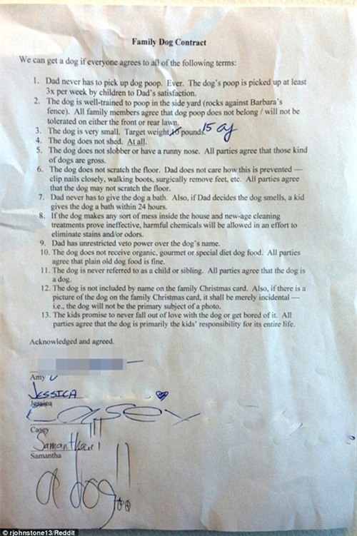 dạy con, dạy con tính trách nhiệm, nuôi dạy con