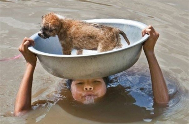 Nhung ban nho khien dan mang tin vao tinh nguoi hinh anh 8