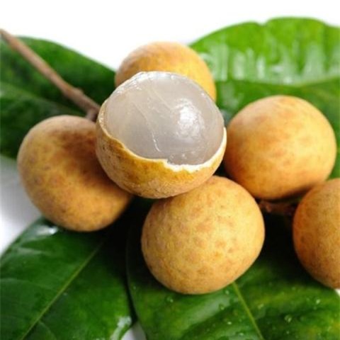 Phan biet nhan tam hoa chat va cach chon nhan ngon