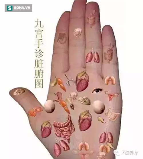 Lăn đũa trên tay, đánh bay bệnh tật! - Ảnh 1.