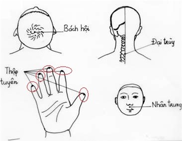 Lăn đũa trên tay, đánh bay bệnh tật! - Ảnh 3.