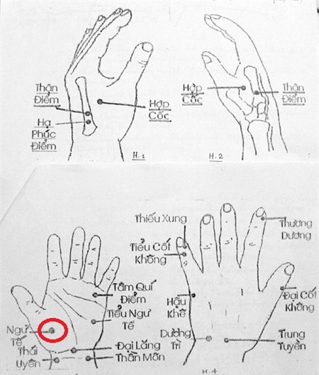 Lăn đũa trên tay, đánh bay bệnh tật! - Ảnh 4.