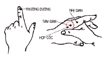 Lăn đũa trên tay, đánh bay bệnh tật! - Ảnh 5.