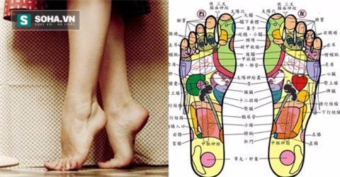Kiễng gót chân: Bài tập mang lại 10 tác dụng chữa bệnh hiệu quả - Ảnh 4.