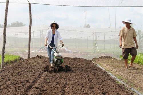 tung chap nhan lo de kinh doanh rau huu co vi so ba bau an phai rau ban - 2