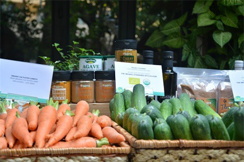 tung chap nhan lo de kinh doanh rau huu co vi so ba bau an phai rau ban - 4