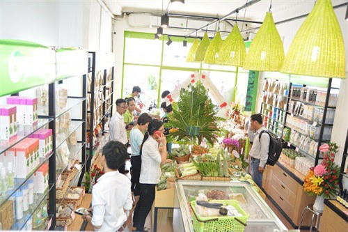 tung chap nhan lo de kinh doanh rau huu co vi so ba bau an phai rau ban - 5