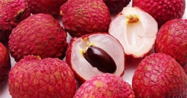 b-trai-hn-2-tui-b-hc-ht-vi-may-mn-thot-cht-v-m-bit-cch-x-tr-huongdanorg-cham-soc-be-kien-thuc