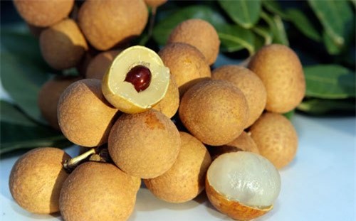 Phương pháp chữa trị hôi nách 100% từ thiên nhiên