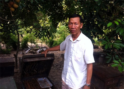 hieu ong nhu con, moi nam ban mat lai bac ty hinh anh 1