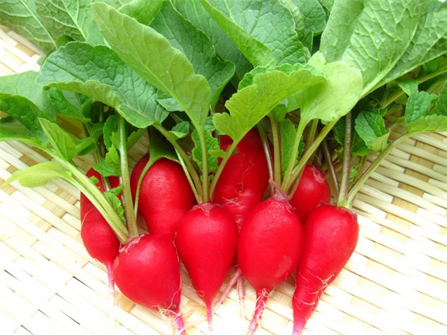 5 thần dược giá bình dân mà bổ như nhân sâm - Ảnh 4.