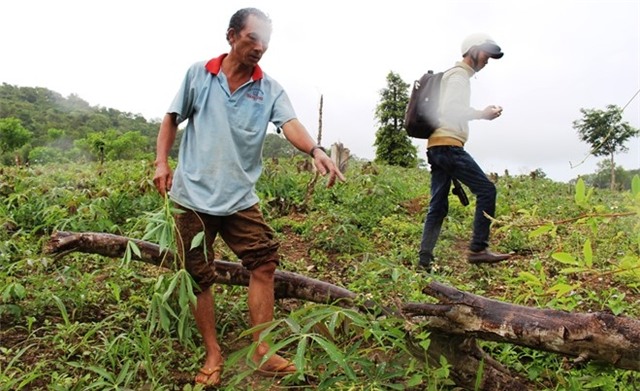 Vu to phong su cua VTV24: ‘Toi duoc tra tien de cua cay’ hinh anh 1