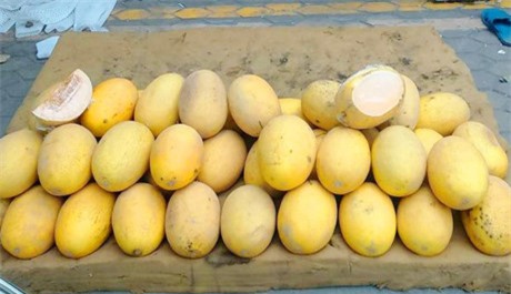 mận trung quốc, đào trung quốc, dưa vàng trung quốc, nho trung quốc, hoa quả trung quốc, hoa quả tàu, hàng tàu